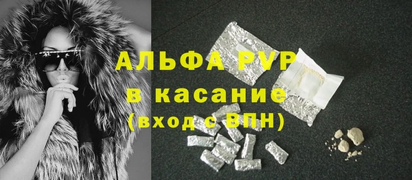 винт Осташков