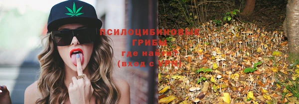 винт Осташков