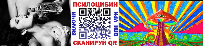 купить наркоту  Боровичи  площадка как зайти  Галлюциногенные грибы Psilocybe 