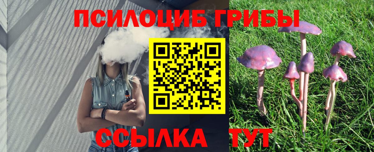 Псилоцибиновые грибы GOLDEN TEACHER Боровичи