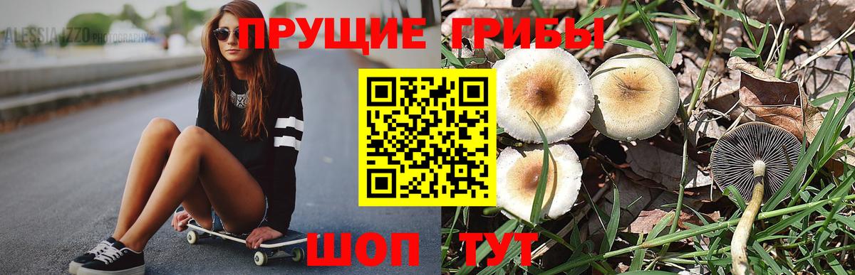 где купить   Псилоцибиновые грибы мухоморы  Вход с VPN  Галлюциногенные грибы прущие грибы  Боровичи 